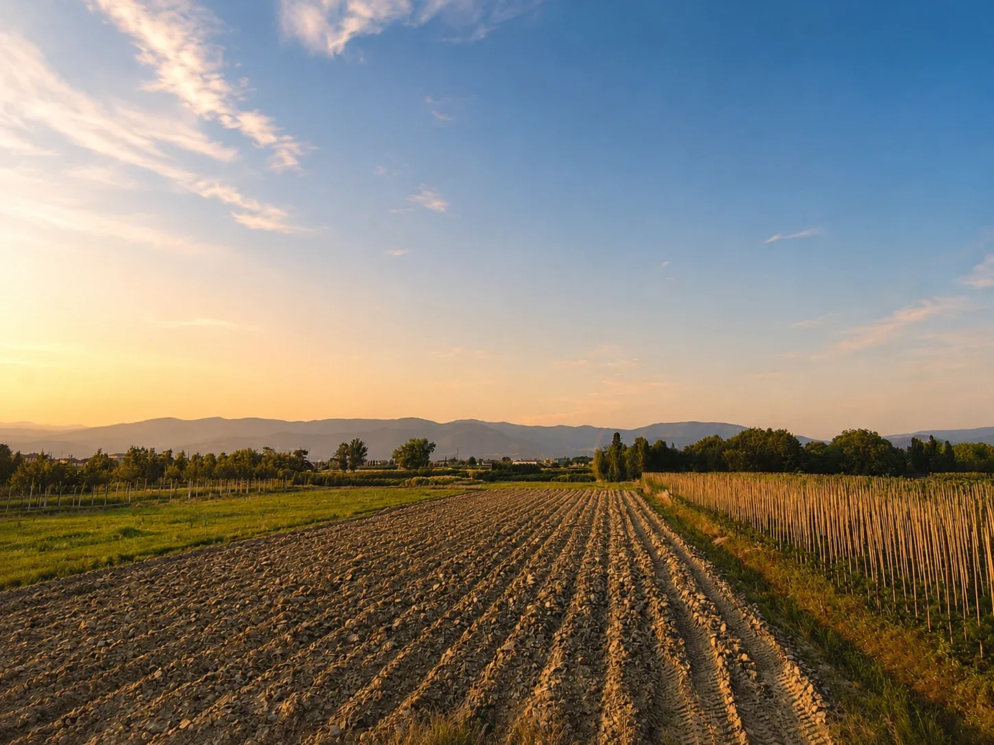 Campi e colline osservati da Casa Galigana al tramonto